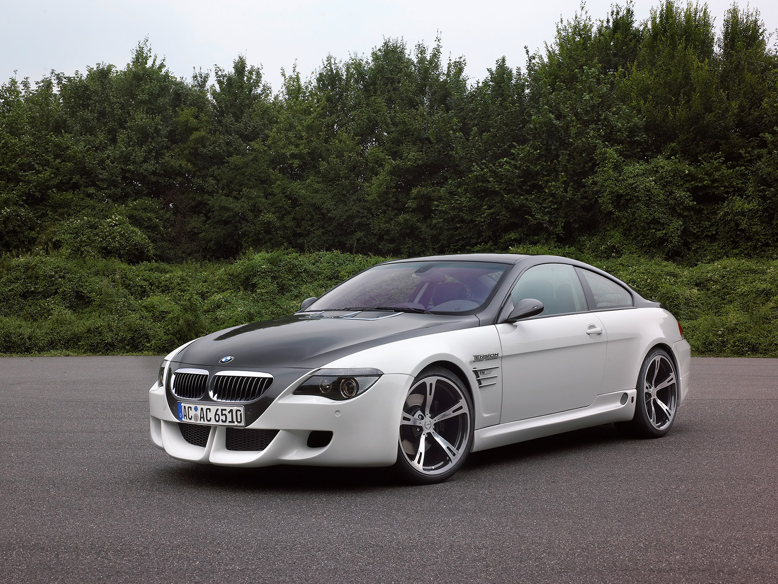 BMW 6 Series 04.jpg